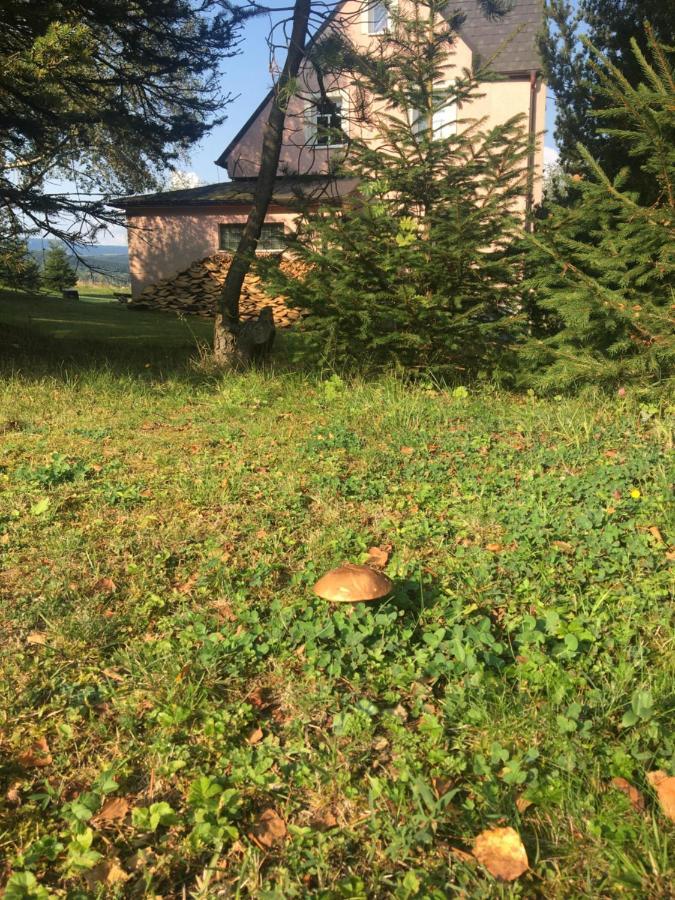 Villa K Zastavce 557 Kovářská Esterno foto