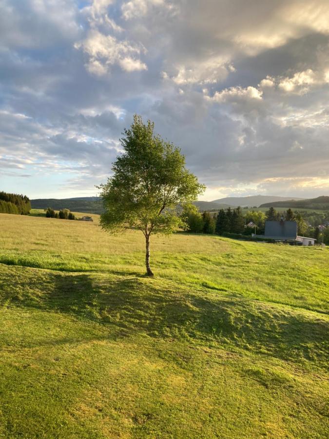 Villa K Zastavce 557 Kovářská Esterno foto